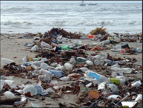 Millions of single-use plastic soft drink bottles sold every year