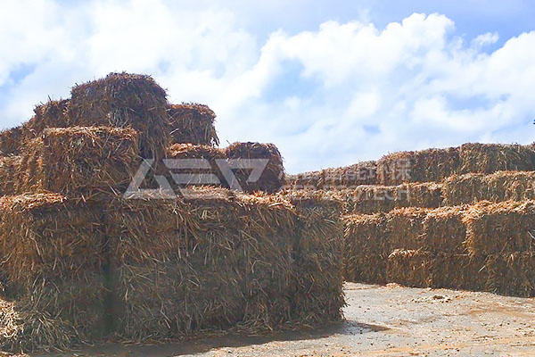 Shredding machine for biomass for sale in Philippines