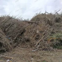 How to shred garden waste for compost?