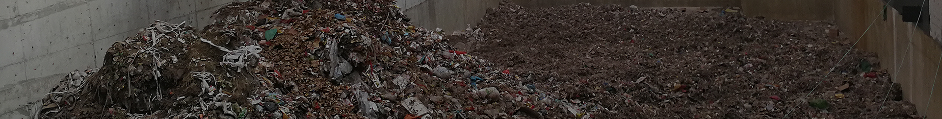 MSW Recycling System