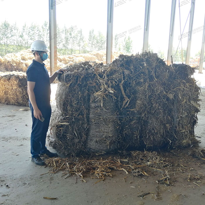 biomass crushing plant