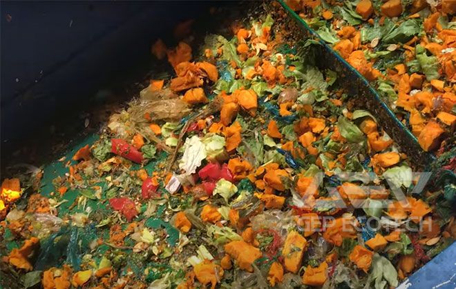 Vegetable Waste 