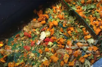 Vegetable Waste 