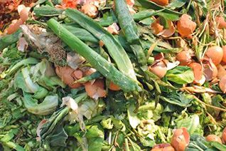 Organic Waste