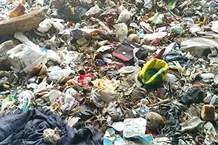 Landfill Waste