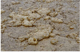 Industrial Sludge
