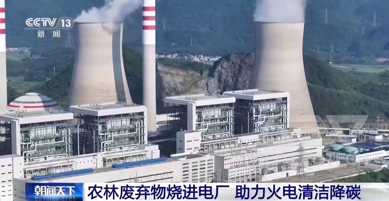 From a Blaze in the Field to a Pinch of Powder in the Furnace: Secrets of Pretreatment for Biomass Co-Firing