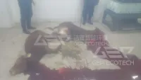 Shredder for Sick and Dead Livestock
