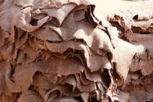Industrial-Grade Dual-Shaft Shredder for Animal Bones and Hides