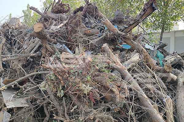 Clever Disposal of Dead Branches and Fallen Leaves