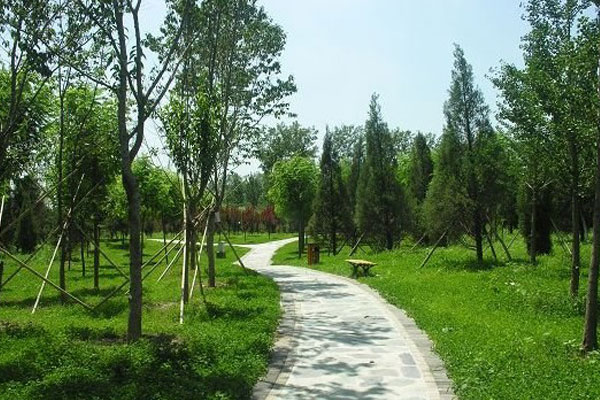 Landscaping garbage turned into "green organic fertilizer"