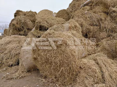 Straw is forbidden to be incinerated, and biomass straw shredder assists straw conversion and reuse