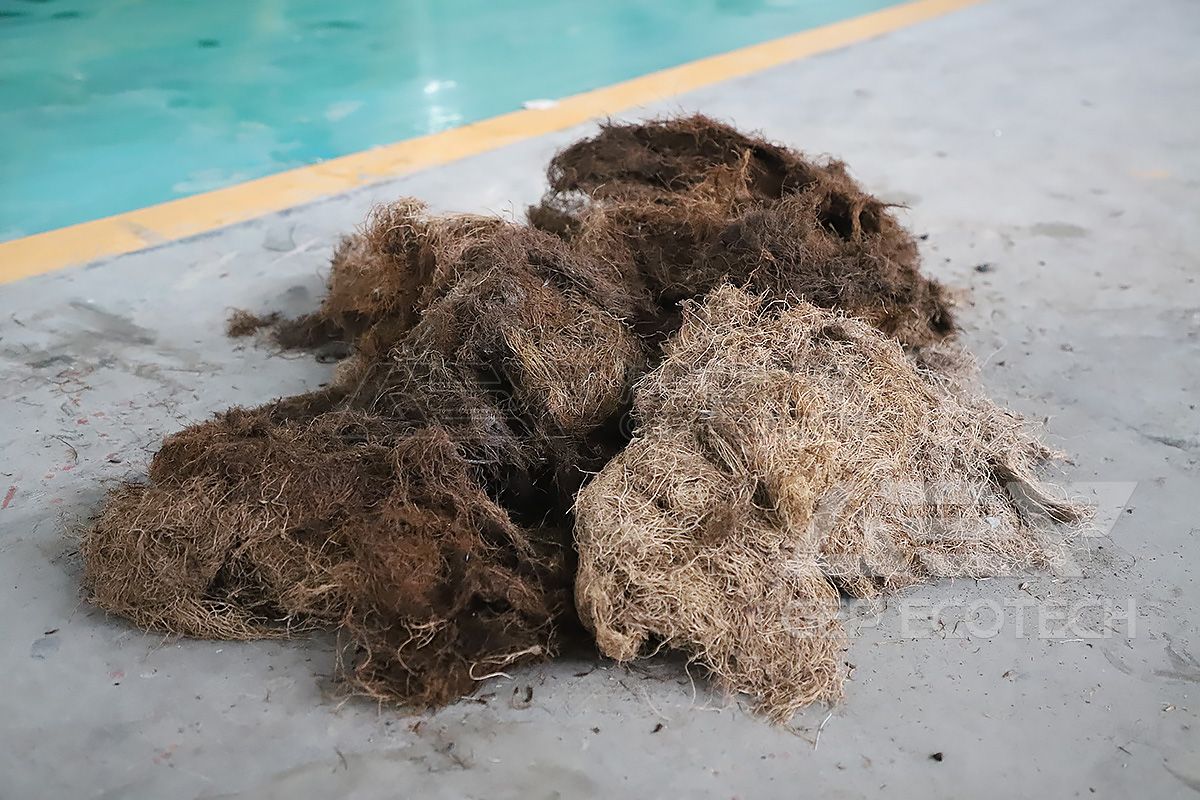 Palm fruit fiber