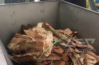 Tree Bark