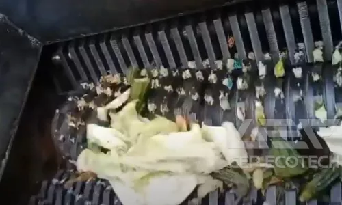 Small-Scale Dual Shaft Shredder for Compostable Materials