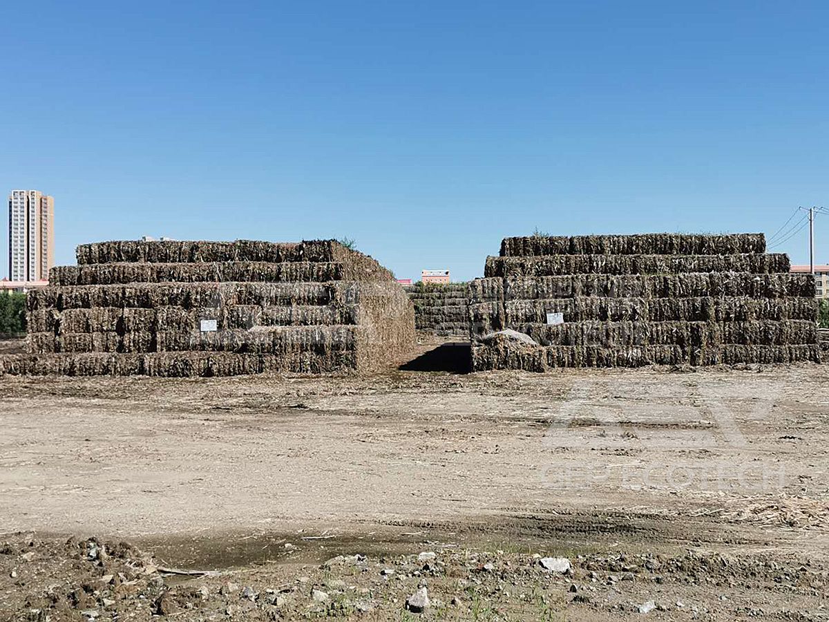 Biomass