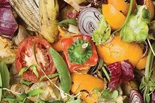 Fruit & Vegetable