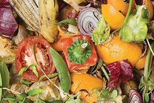 Fruit & Vegetable