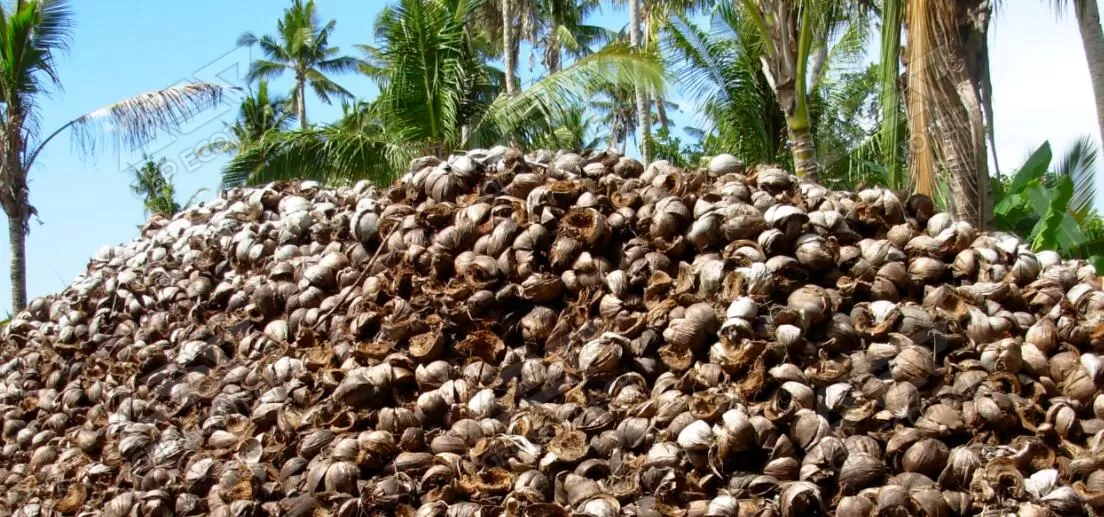 Coconut Husk Shredder Machine, Coconut Fiber Shredder