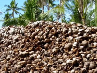 Coconut Husk Shredder Machine, Coconut Fiber Shredder