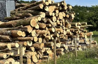 Wood Logs