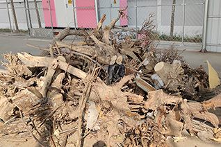 Waste Wood