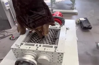 Donkey Skin