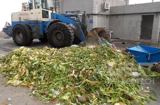 Vegetable Waste 