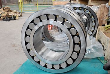 Bearing Sealing System