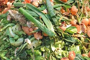Organic Waste
