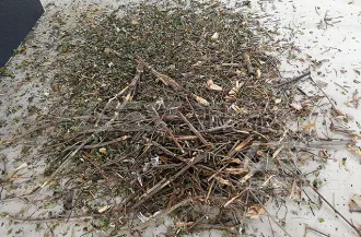 Garden Waste