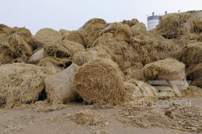 From a Blaze in the Field to a Pinch of Powder in the Furnace: Secrets of Pretreatment for Biomass Co-Firing