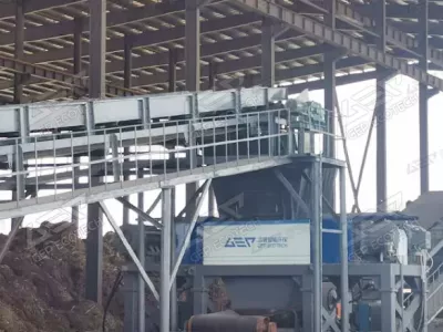 Special Shredder for Biogas Fermentation Biomass Crushing