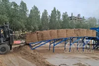 Any Precision Biomass Pretreatment Method for Green Methanol, Say Output Size 30–50 mm or <10 mm? Yes!