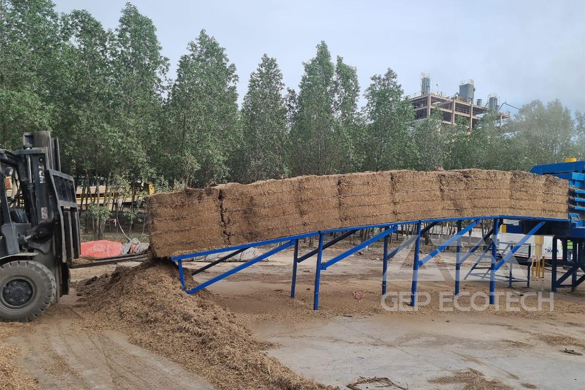 Any Precision Biomass Pretreatment Method for Green Methanol, Say Output Size 30–50 mm or <10 mm? Yes!