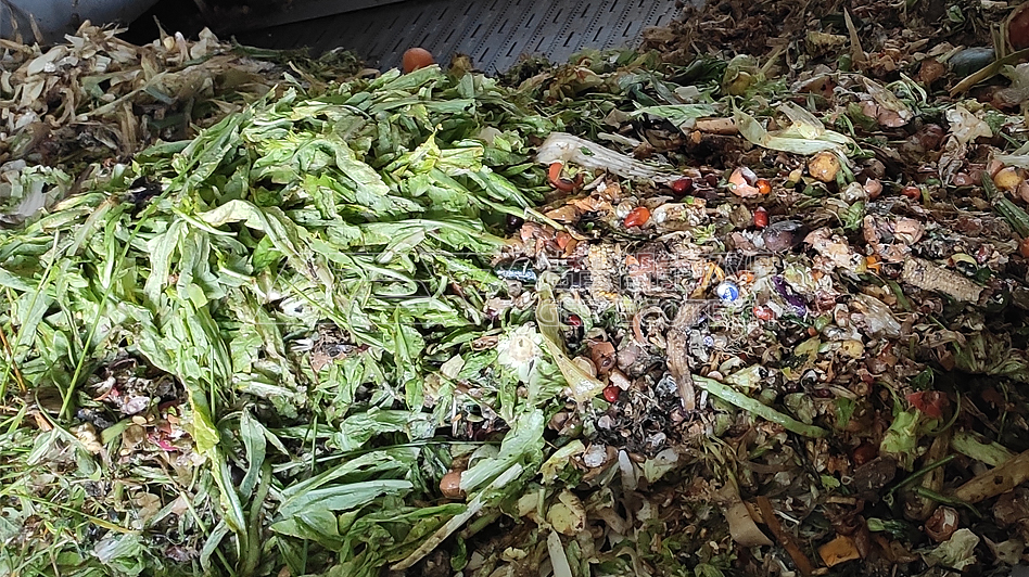 Fruit and Vegetable Waste Shredding