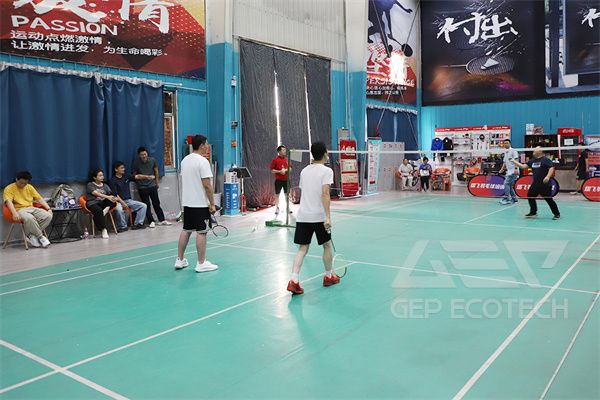 Badminton Match Collaborative Fighting