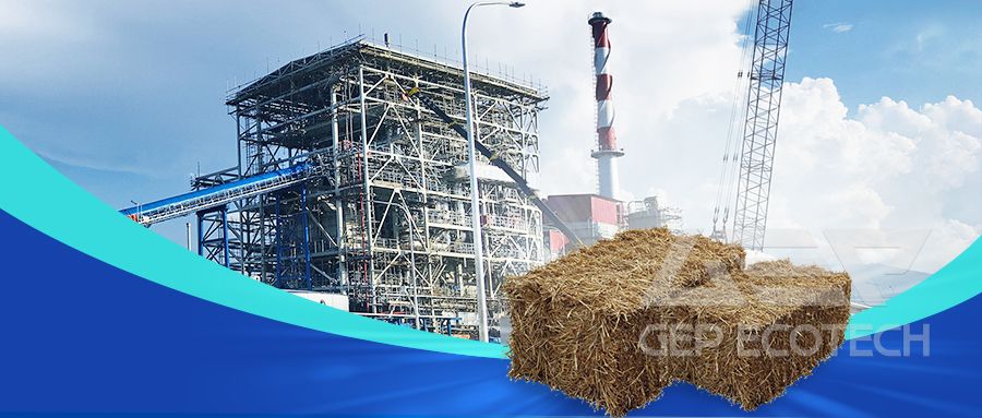 Biomass resource utilization