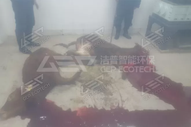 Carcass animal crusher China
