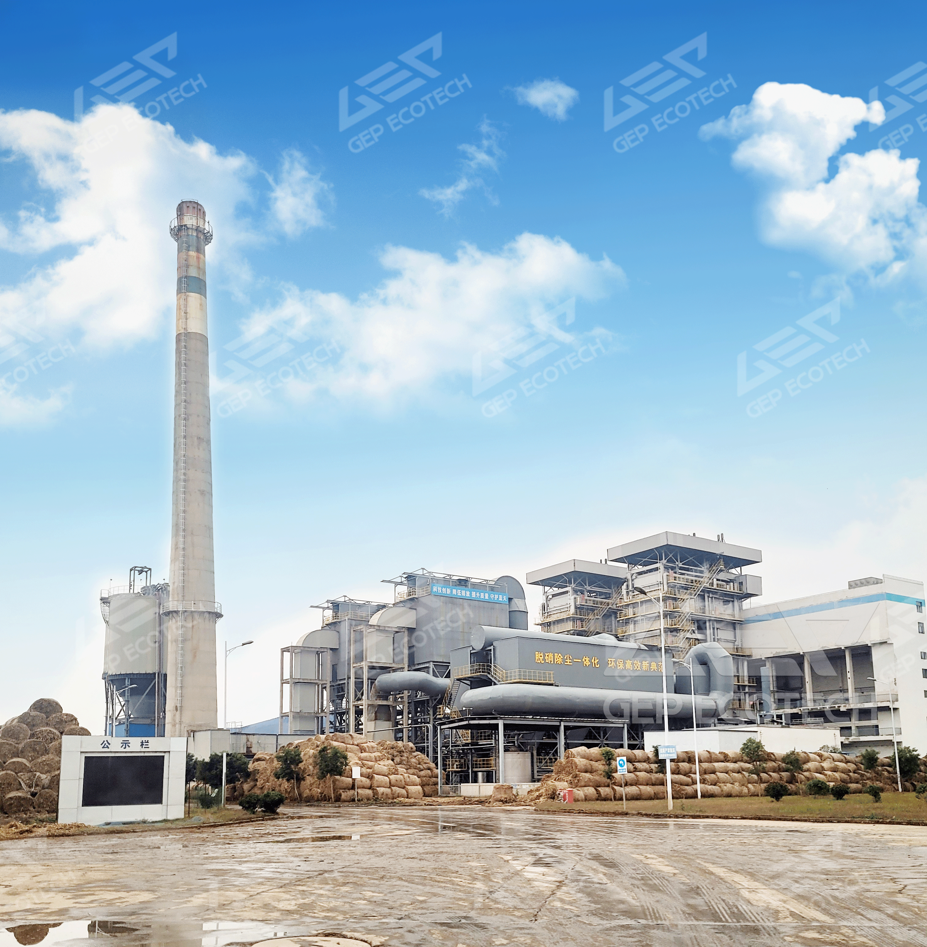 Biomass co firing power plant
