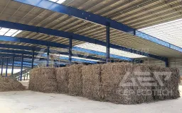 The Eight-Year Journey: The Tale of the Chief Engineer at a Biomass Power Plant and GEP ECOTECH