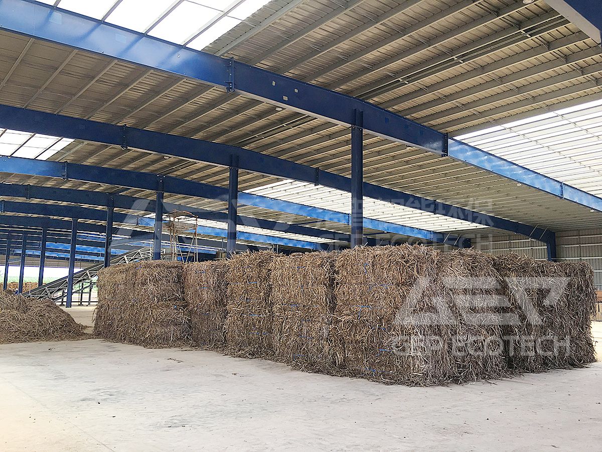 The Eight-Year Journey: The Tale of the Chief Engineer at a Biomass Power Plant and GEP ECOTECH