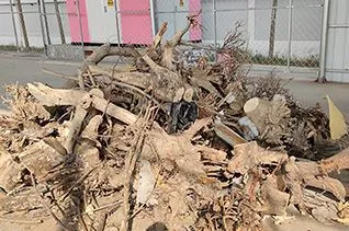 Waste Wood