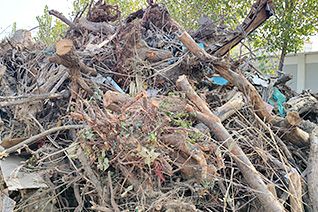 Garden Waste
