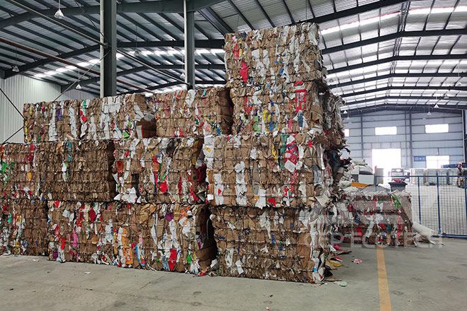 Paper and Cardboard