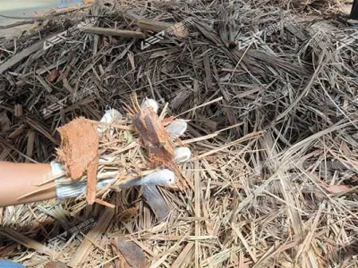10 TPH Palm Fiber and Wood Fine Shredding Solution with 30–50 mm Output, Durable & Efficient!